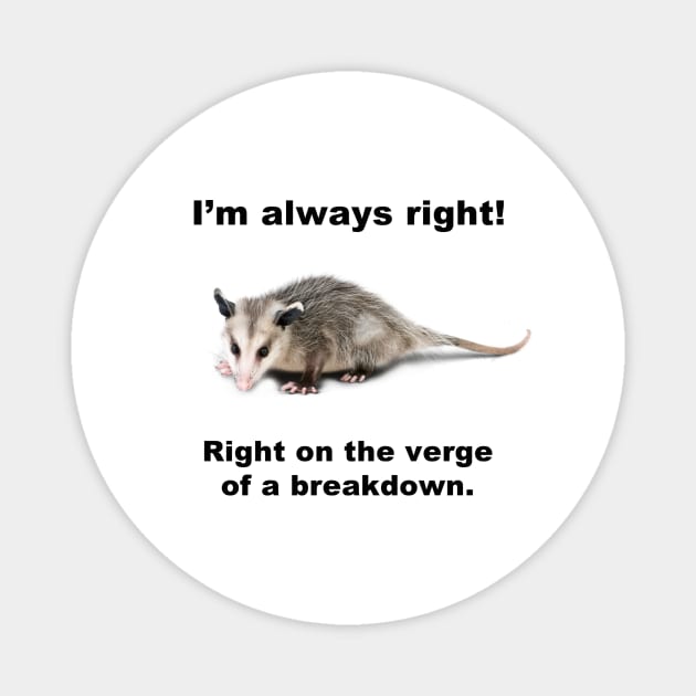 I'M ALWAYS RIGHT! Magnet by Existential's Store